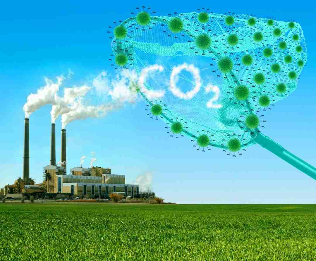 CO2 là gì? Cấu tạo phân tử