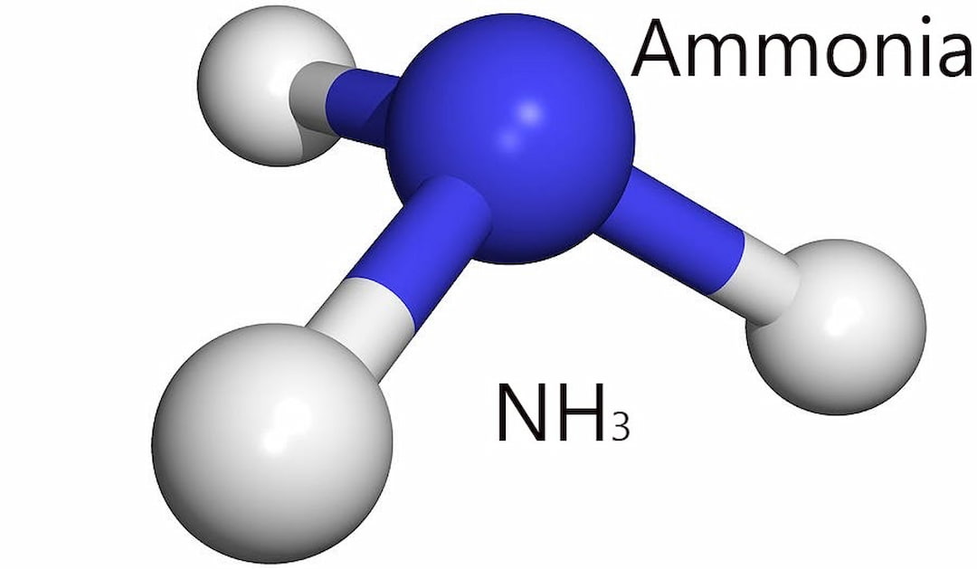 Amoniac được tạo bởi 3 nguyên tử H và 1 nguyên tử N