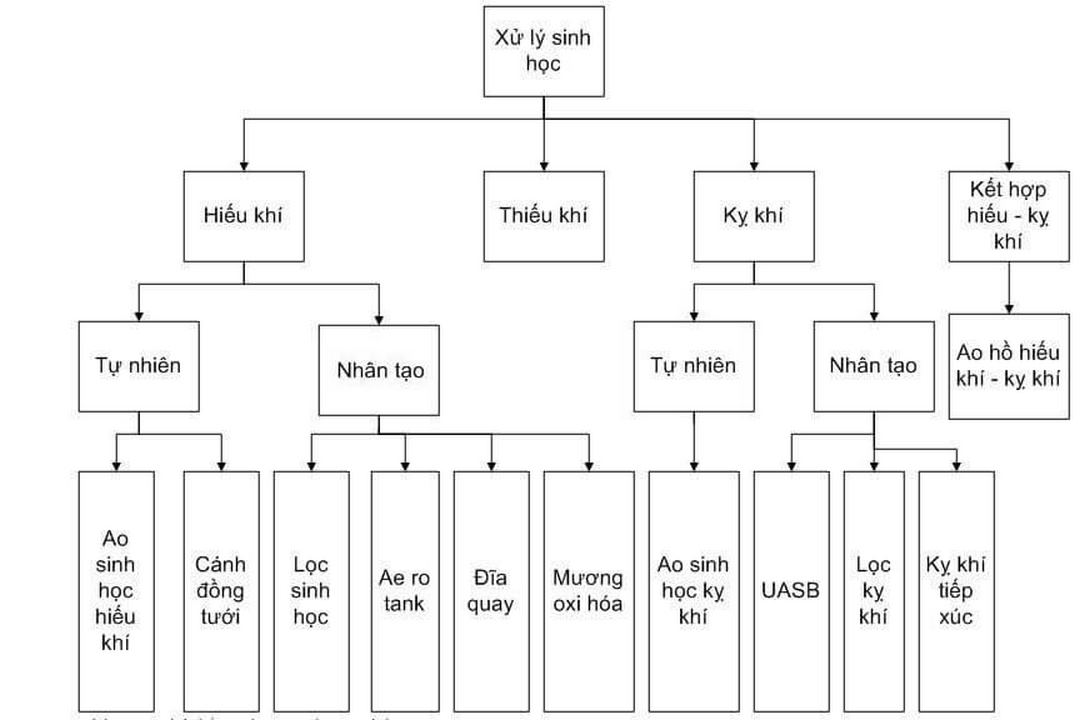 Xử lý khí độc NO2 bằng phương pháp mô hình sinh học