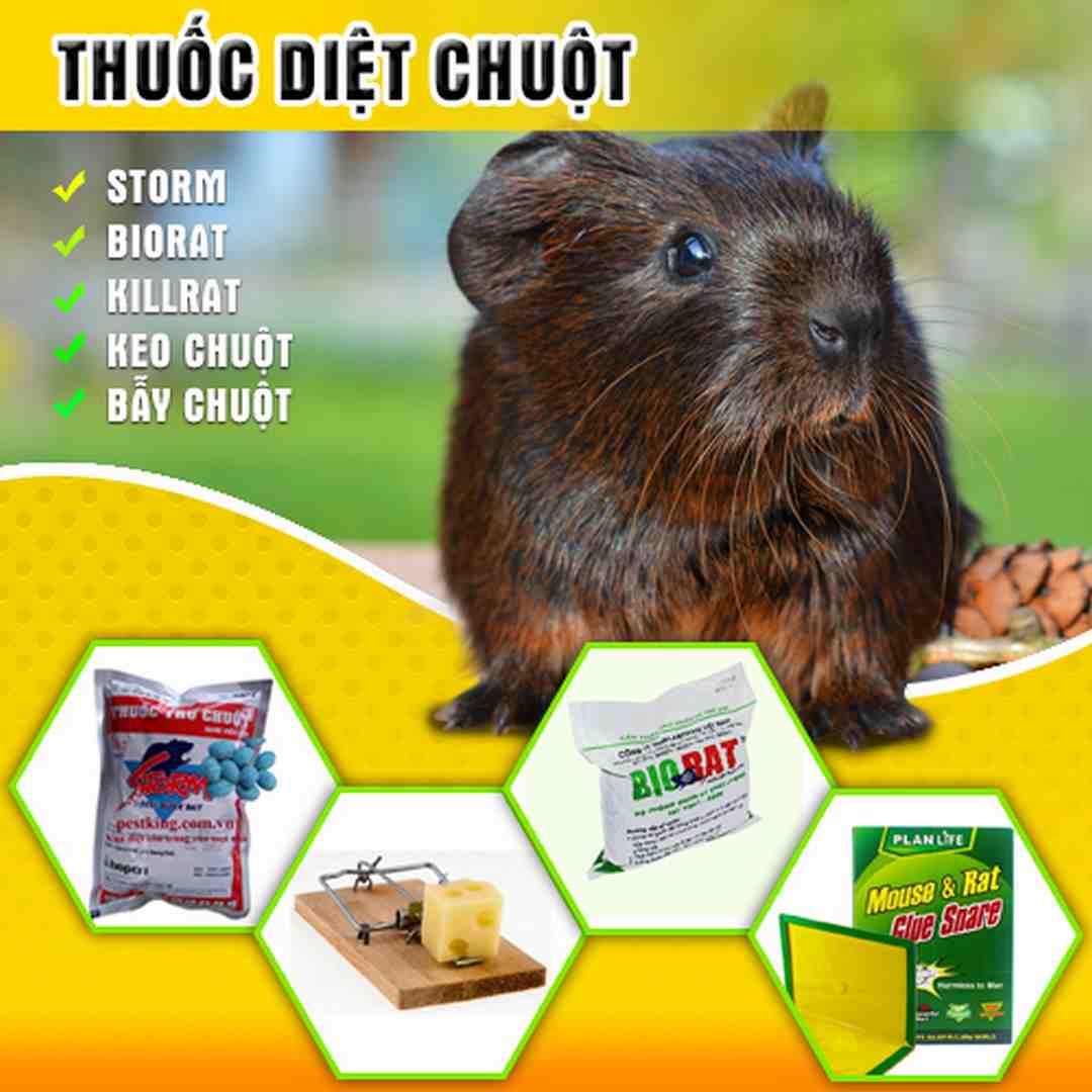 Cơ chế diệt chuột của thuốc