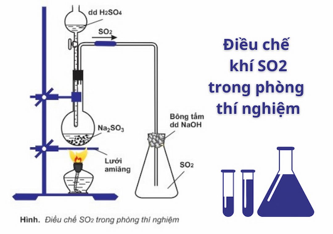 Trong các phản ứng này, lưu huỳnh thể hiện tính khử của mình