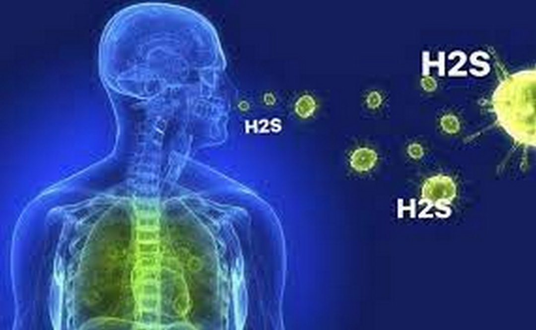 Khí H2S có gây hại gì? Khí h2s có độc không?