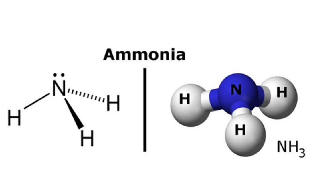 Ảnh Hưởng Của NH3 Đến Môi Trường